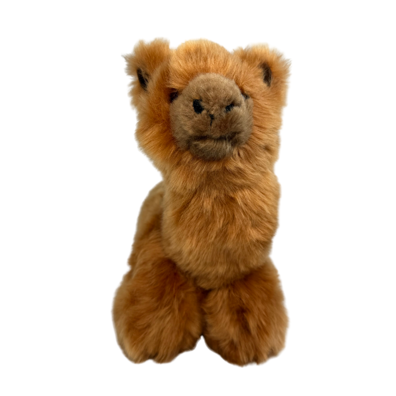 Bocchetta Plush Toys - Wholesale Stuffed/plush toy – Kids & baby - Alcapone - Alpaca - 25cm lying, brown5