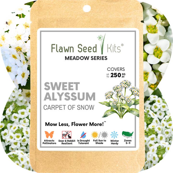 Flawn Seed Kits - Wholesale Plant Seeds - Sweet Alyssum Carpet of Snow Seed Pouches