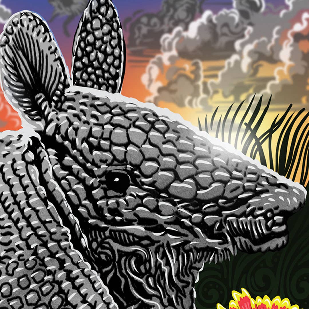 Sunny Days - Wholesale Love Card - Armadillo, Swallowtail Butterfly, & Indian blanket flowers2