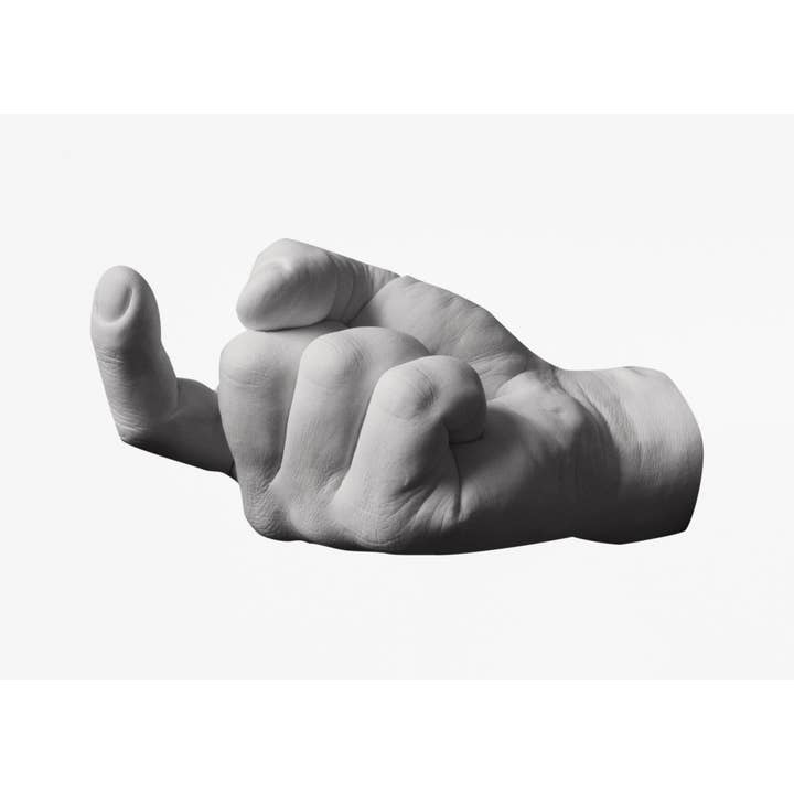 Areaware - Wholesale Wall Hook - Reality Hand Hook