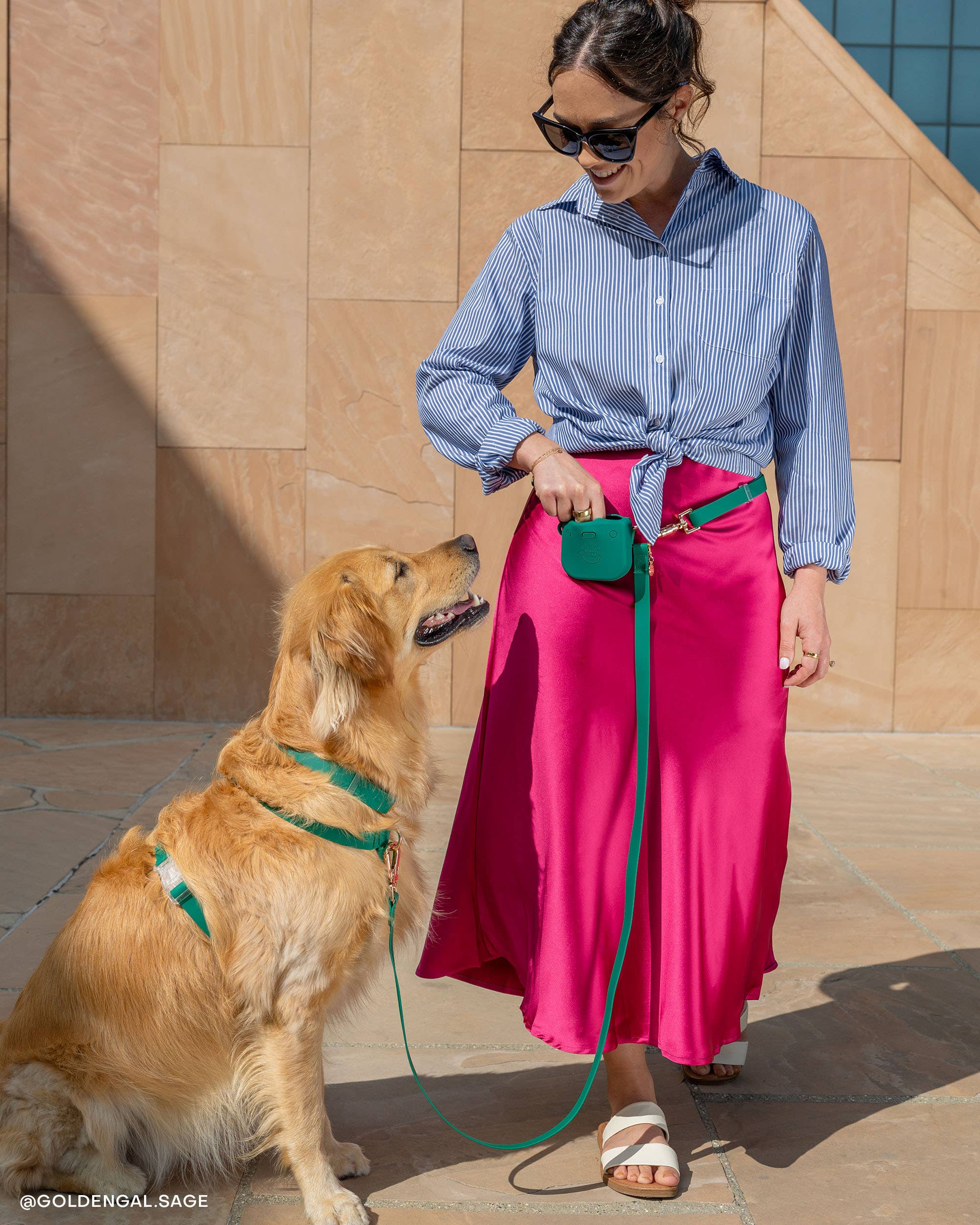 SUNNY TAILS - Wholesale Pet Leash - Dog - Meadow Green 4-in-1 Convertible Hands Free Cloud Dog Leash1