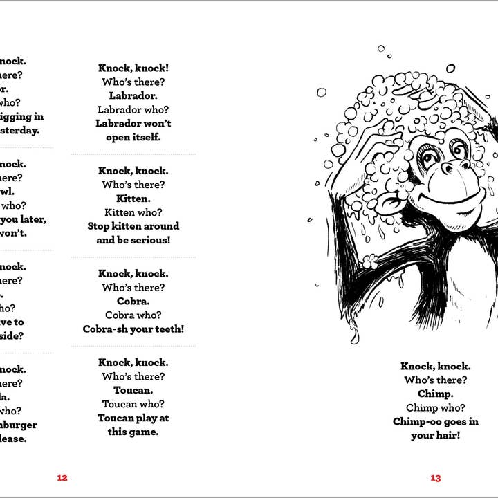 Sourcebooks - Wholesale Humor - Whole Lotta Knock-Knock Jokes3