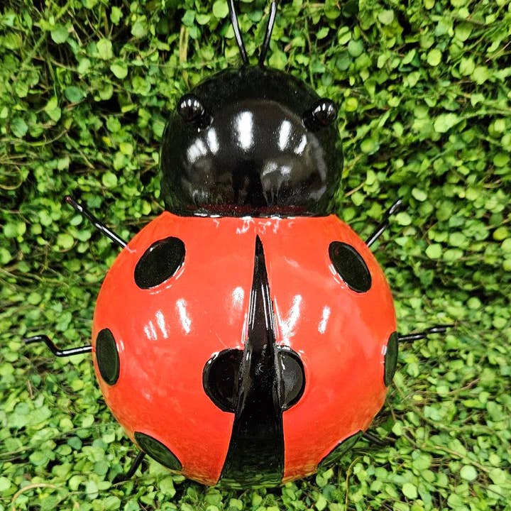 Tin ladybug - 3 Sizes for wholesale by Green Pastures Wholesale