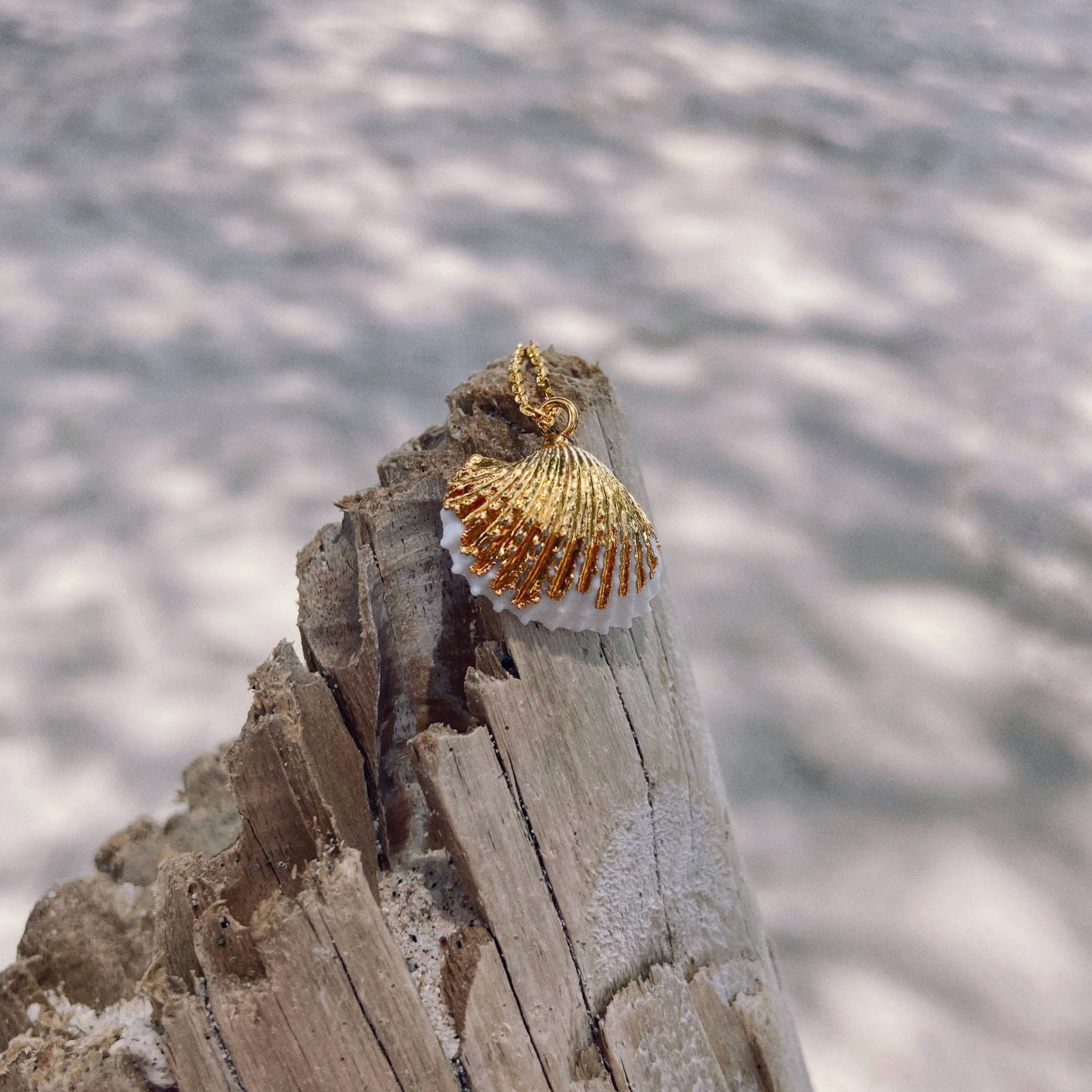 Bonisita - Venta al por mayor Collares con colgantes/abalorios - Collar de Concha de Sirena - Cadena de Latón de 18 pulgadas8