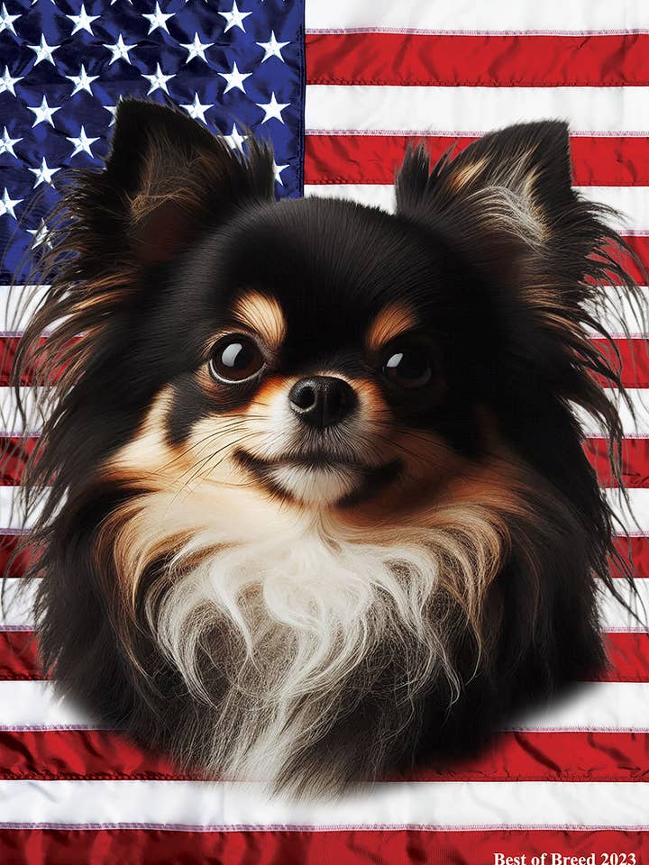 Chihuahua a pelo lungo nero - Bandiera da giardino Patriotic III per la vendita all'ingrosso da parte di Best of Breed Products