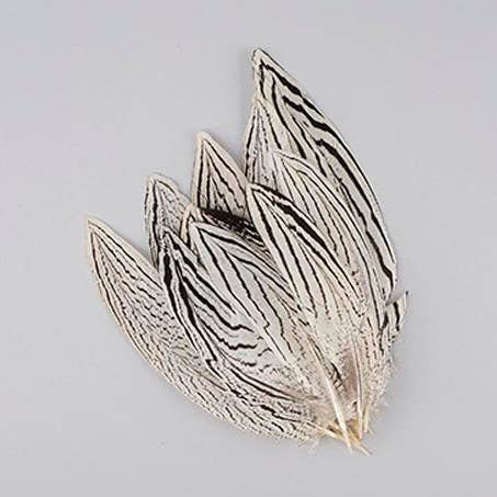 Plumes de queue de faisan argentées - Naturelles pour la vente par Zucker Feather Products