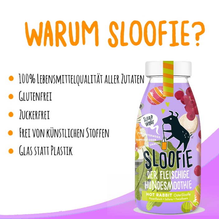 Sloofie-der Hundesmoothie – wholesale Husdjursfoder – Hund – KÖTT KANIN
