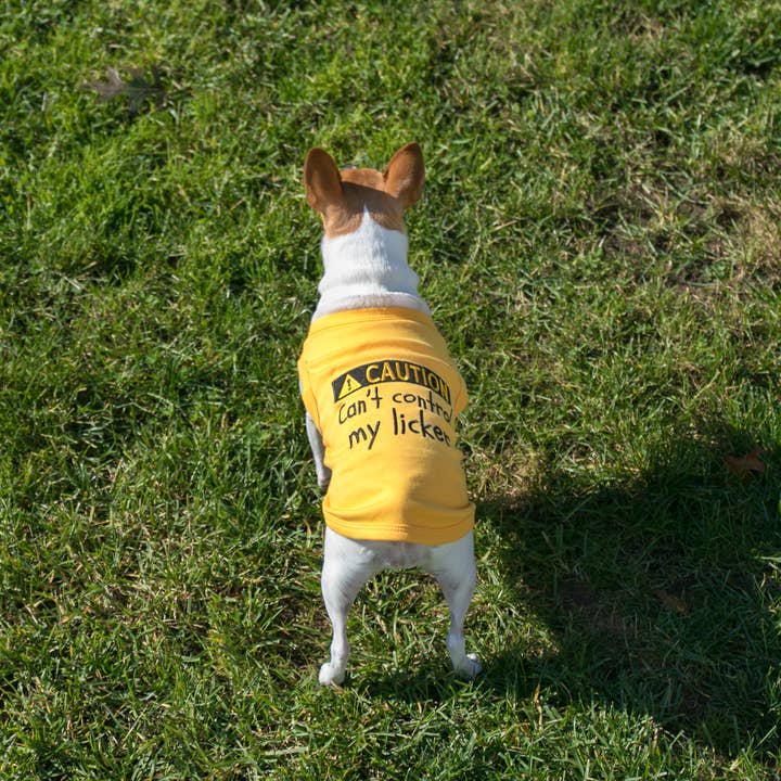 Parisian Pet® - Wholesale Pet Shirt - Dog - Licker Dog T-Shirt – Trendy & Humorous Pet Clothing3