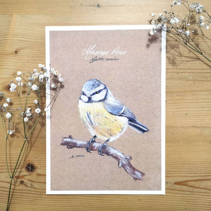 Cartaz de Mai 15x21 cm por atacado de Ma Patte Laisse Des Traces