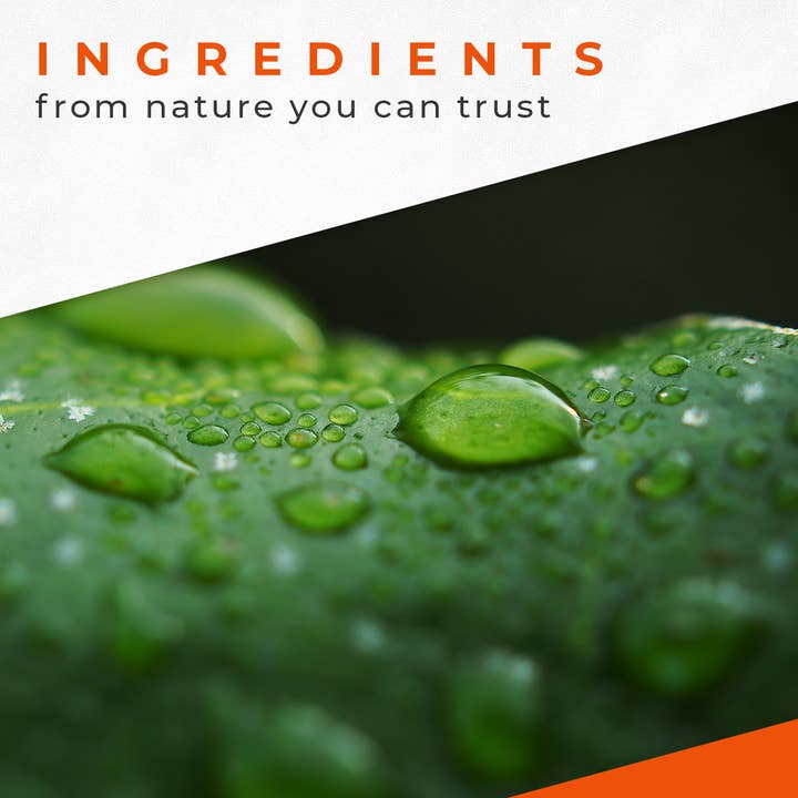 Likasso - Wholesale Foot Scrub/Polish - Onycosolve Sea Salt Foot Scrub1