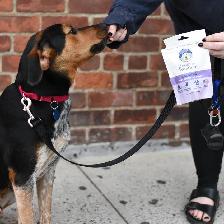 Under the Weather Pet - Wholesale Pet Supplement - Dog - Calming Soft Chews For Dogs5