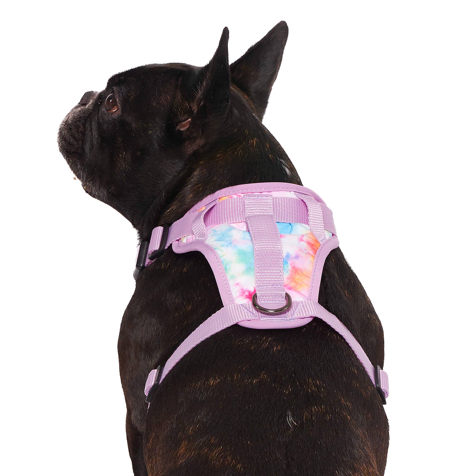 Canada Pooch – wholesale Pet harness – Dog – Everything Harness- No-Pull Dog Harness (Water Resistant)16