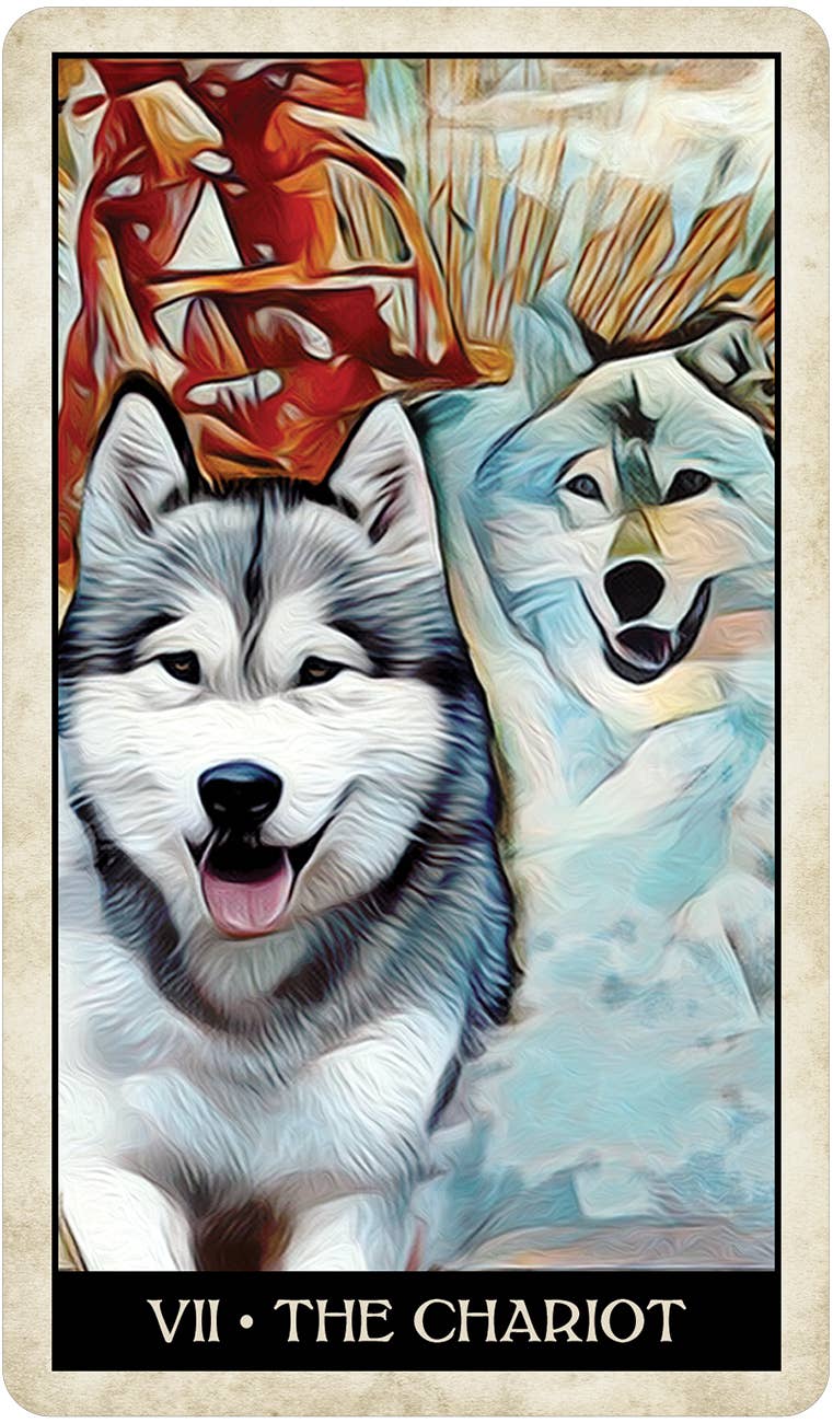 Cardshouse – wholesale Tarot cards – Wise Dog Tarot Cards Us Games Systems6