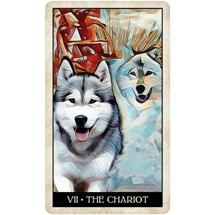 Cardshouse – wholesale Tarot cards – Wise Dog Tarot Cards Us Games Systems6