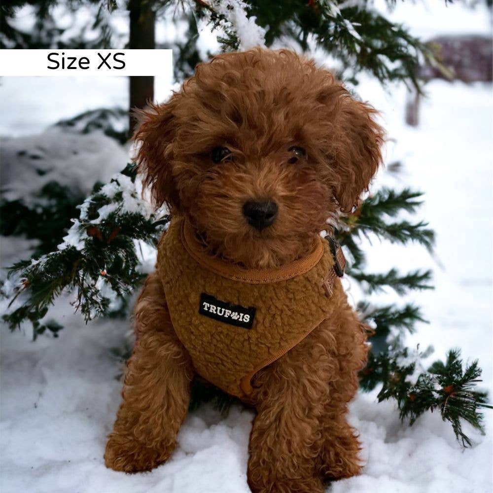 Trufois - Vendita all'ingrosso Pettorina - Cani - Imbracatura Teddy Lite - Cioccolato3