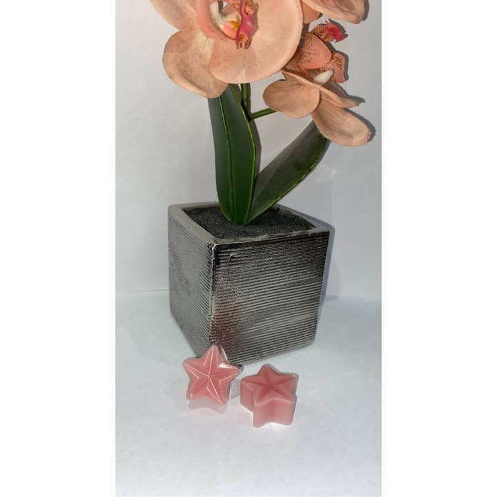 Paquets d'échantillons pour la vente par The Small Wax Co