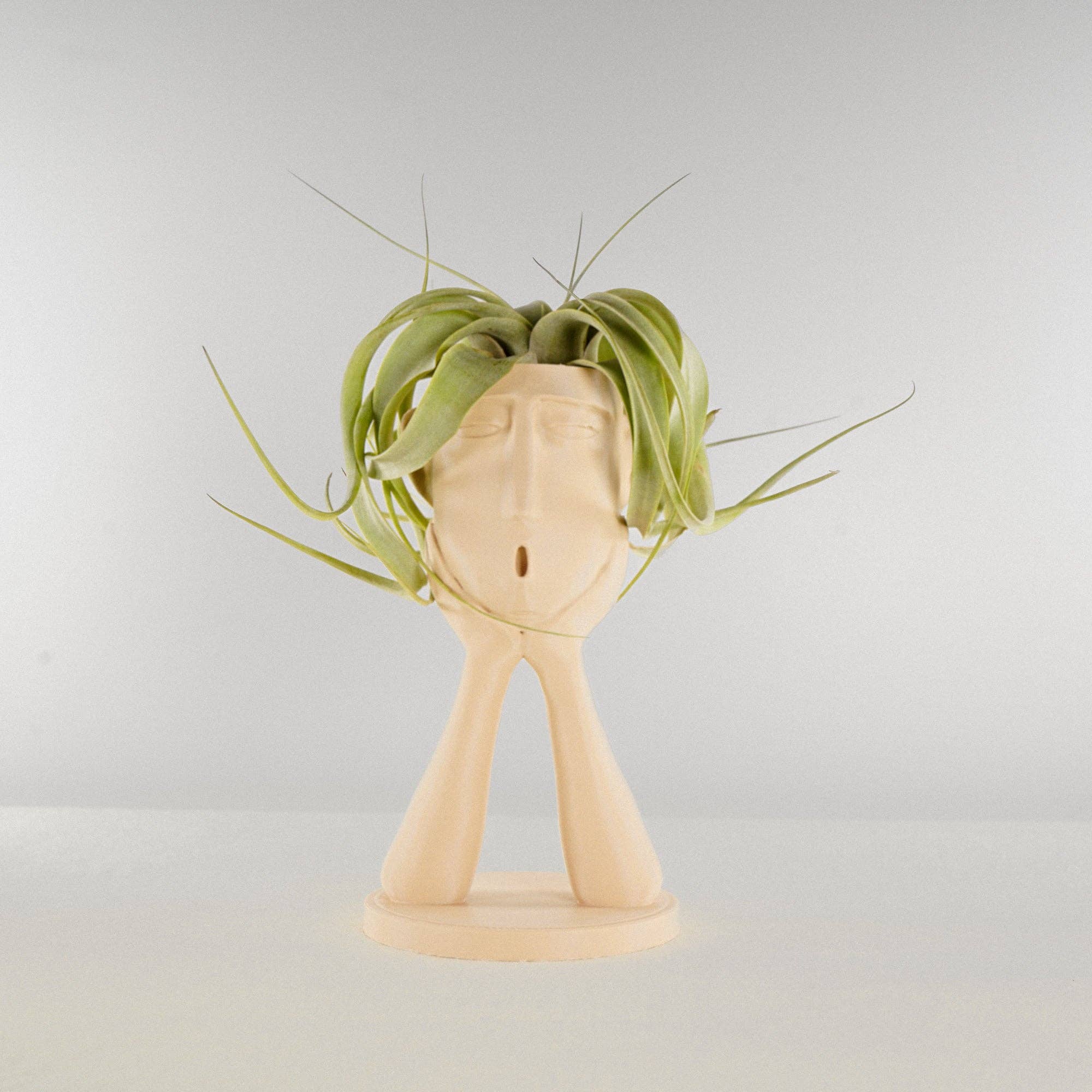 Rosebud Homegoods - Vente Pot - Support pour plantes gonflables Stonehenge, joli pot à tête, cadeau de décoration unique2