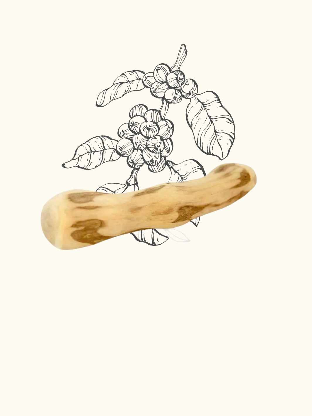 Truffe Délice - Venta al por mayor Juguete para morder - Perros - Madera de cafeto0