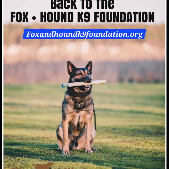 Fox + Hound - Venta al por mayor Desinfectante de manos - Gel desinfectante para manos, 16 oz, miel y pepino