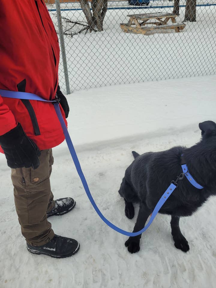 Hands-free leash/handmade/1inch BioThane/dog leash
for wholesale by Cain's Collars