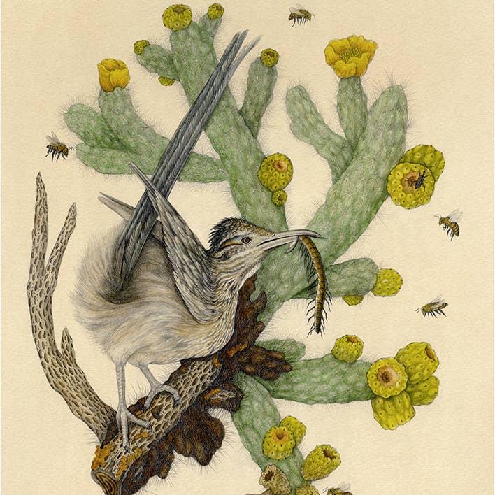 16x20" Fine Art Giclee Print: Saguaro National Park for wholesale by Mustard Beetle