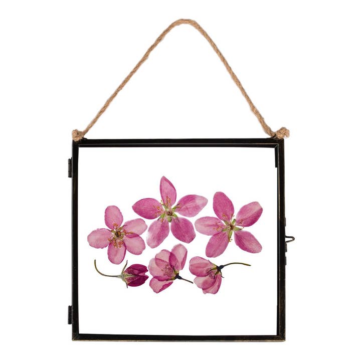 Rinkit Pty Ltd - Wholesale Picture frame - 8" x 8" Glass Hanging Photo Frame - By Nicola Spring