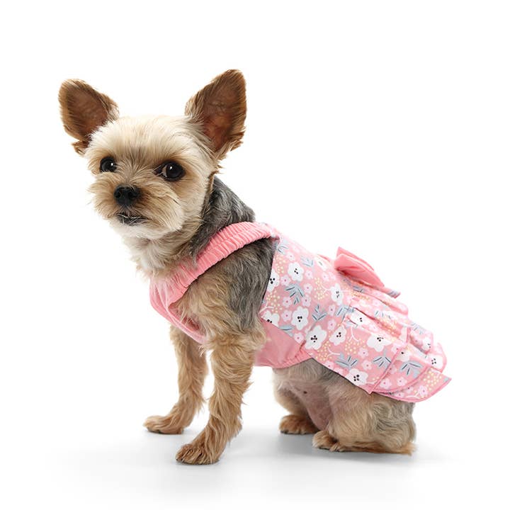 Dogo Pet - Wholesale Pet Dress - Dog - Sweet Floral Dress5