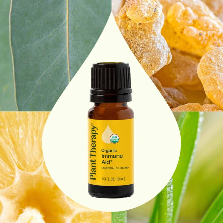Plant Therapy - Wholesale Essential Oil - Organic Immune Aid Essential Oil Blend 10 mL2