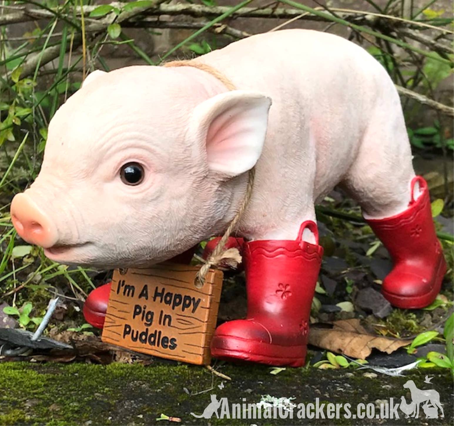 Animal Crackers – wholesale Outdoor ornament/decor – Welly Pig in Red Wellington Boots with removable 'I'm a Happy Pig in Puddles' sign, great novelty garden ornament and Pig lover gift