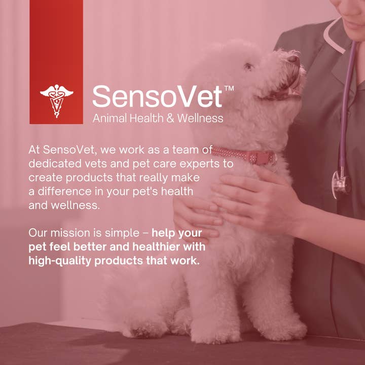 SensoVet – wholesale Pet spray – Cat/dog – Antiseptic Hot Spot & Rash for Dogs & Cats - 8oz5