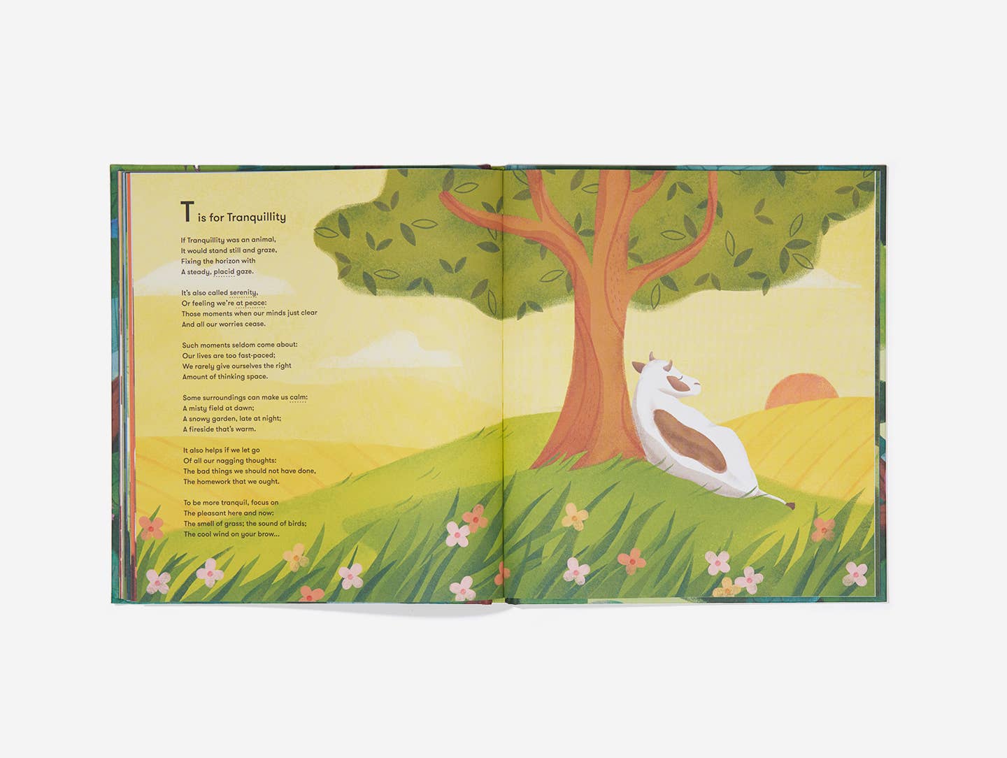 The School of Life - Wholesale Preschool Book (3-5) - An Emotional Menagerie, Kids Emotions Guide Book3