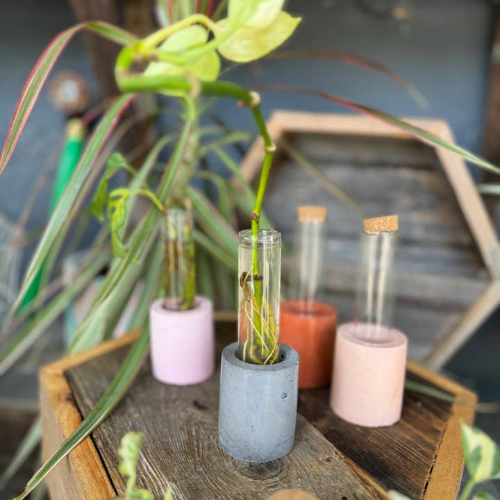 Good Girl Market - Wholesale Vase - Concrete Propagation Station1