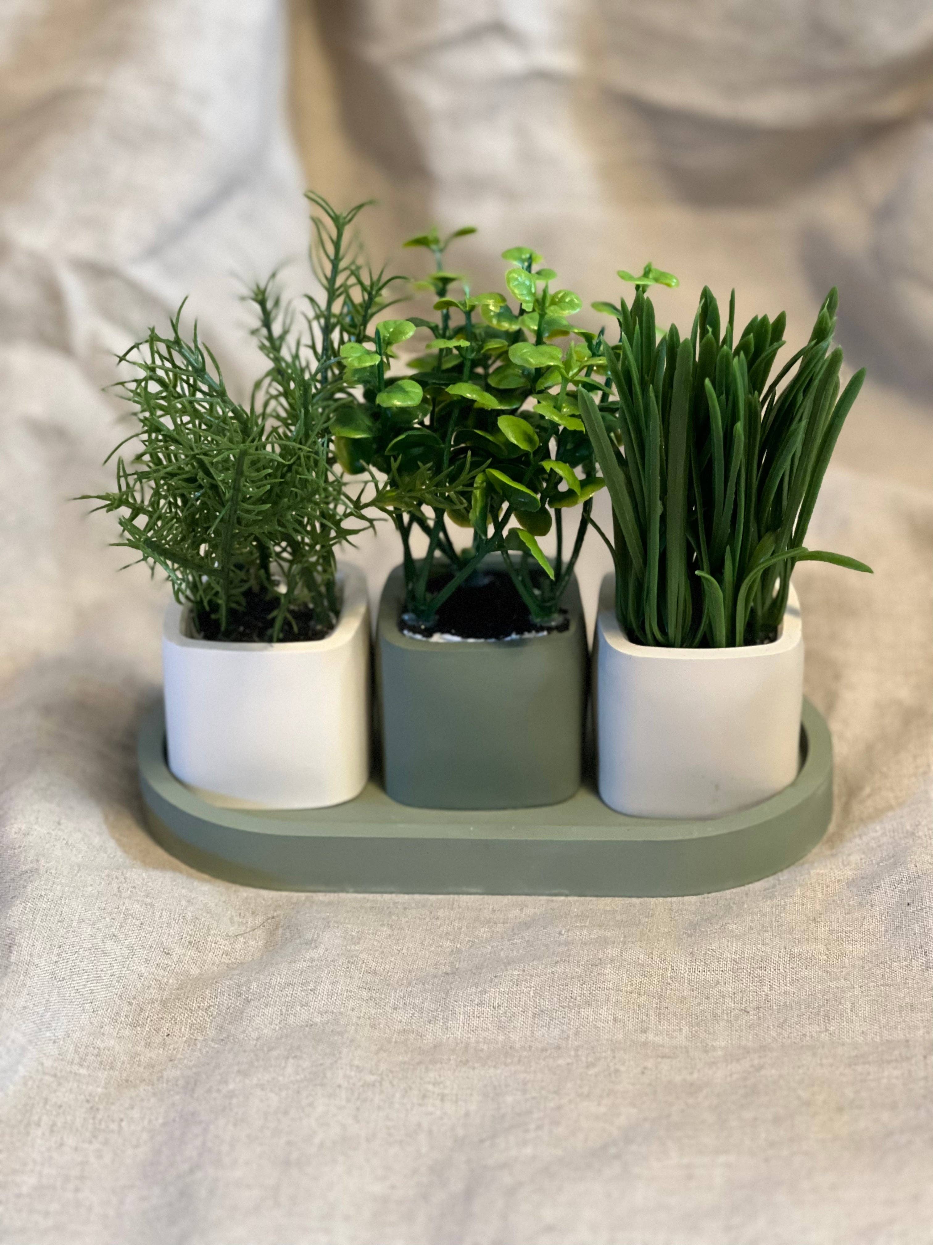 EMB Pretty – wholesale Plant pot – Neutral Mini Succulent/Cactus Pot/Planter8