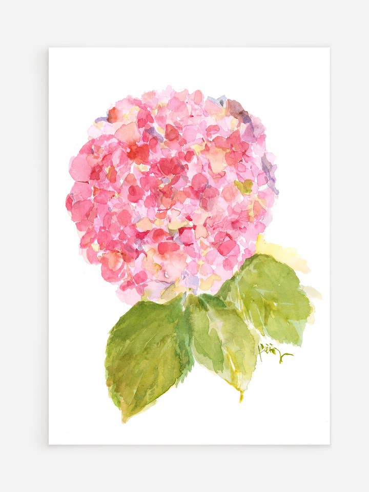 Pink Hydrangea postcard for wholesale by Ping He Art