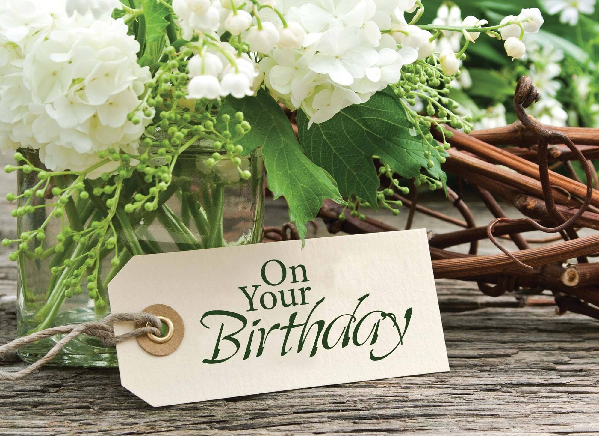 Crown Point Graphics - Wholesale Birthday Card - Celebrations -  48 Assorted Birthday Cards by Shared Blessings44