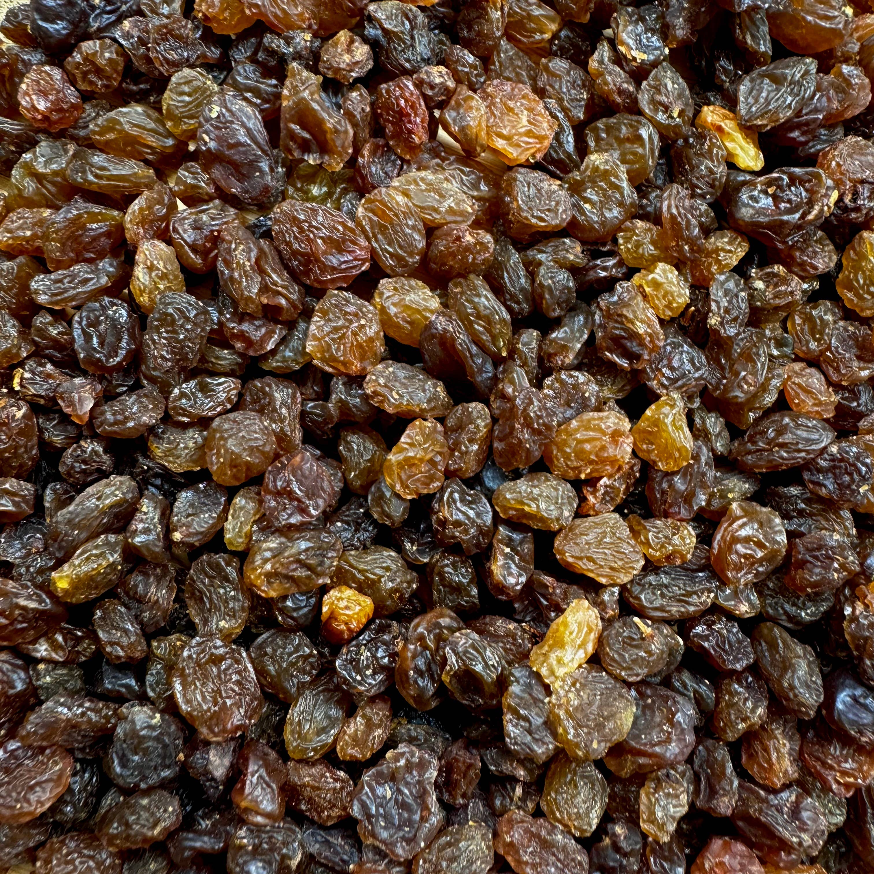 RAYA - Wholesale Dried/Dehydrated Fruit - Sultana brown raisins Bulk1