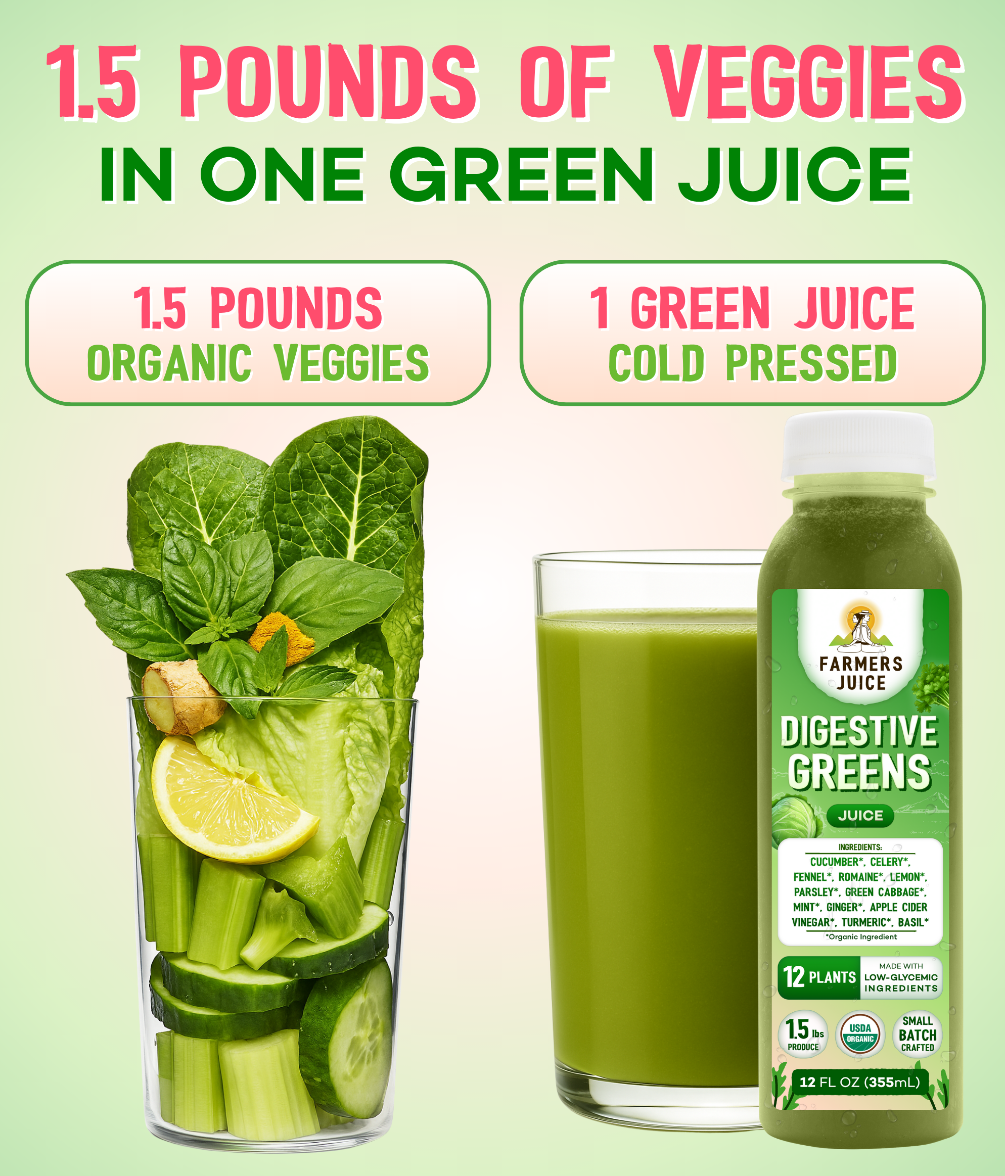 Farmer's Juice - Vente Jus bien-être/fortifiants - Jus Verts (Keto) | 18 Jus13