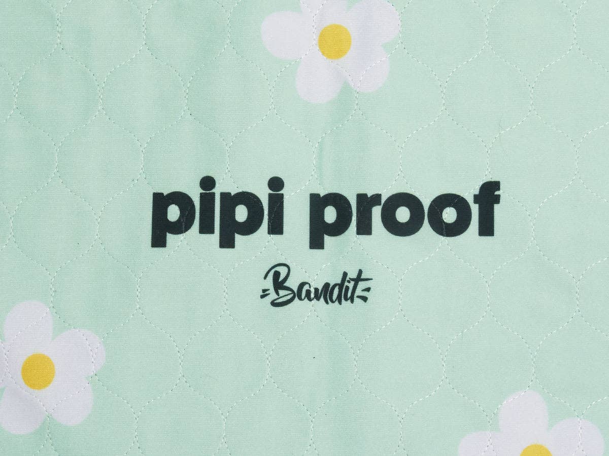 French Bandit - Wholesale Pet Mat - Dog - Set of 2 cleanliness mats3