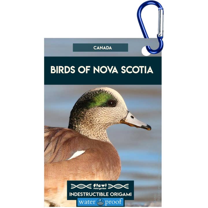 Uccelli della Nuova Scozia-Indistruttibile Origami per la vendita all'ingrosso da parte di Flexi Field Guides