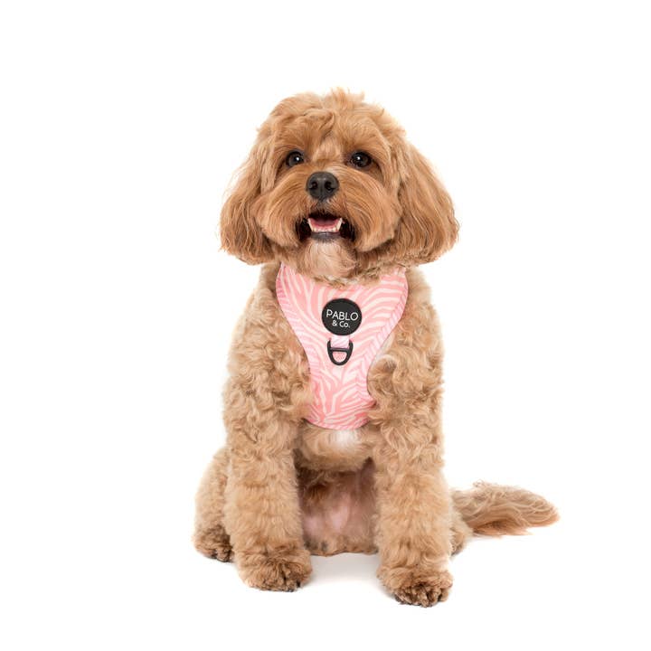 Pablo & Co. Boutique - Wholesale Pet Harness - Dog - Pink Zebra: ADJUSTABLE DOG HARNESS