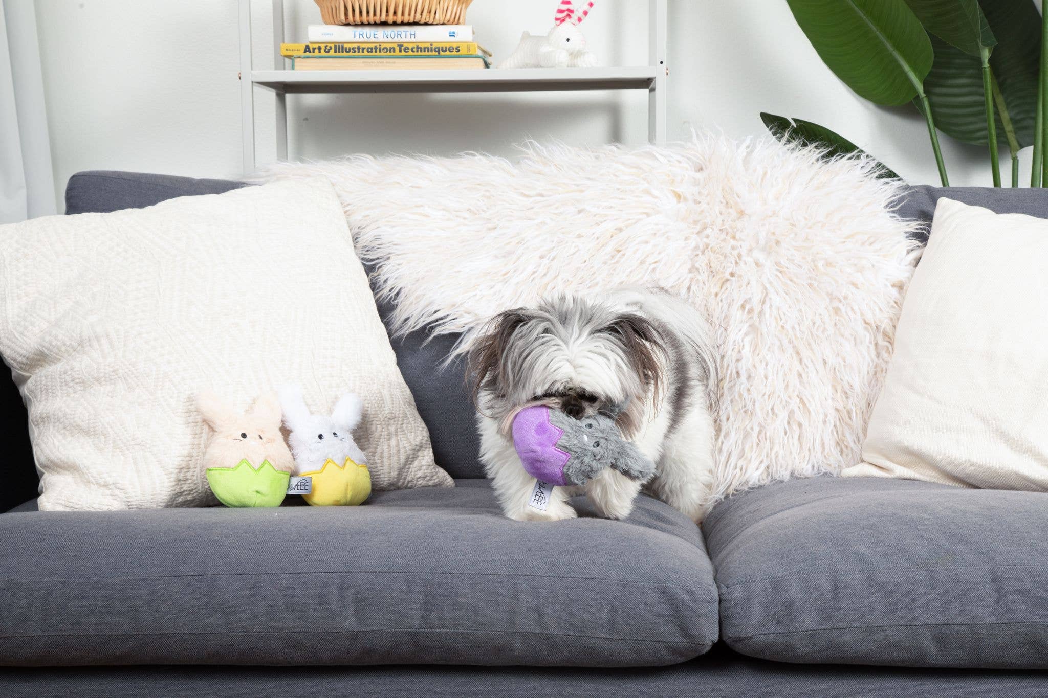 Midlee Designs - Vente Peluche – chien - Midlee Designs Jouets pour chiens œufs lapin de Pâques - Lot de 38