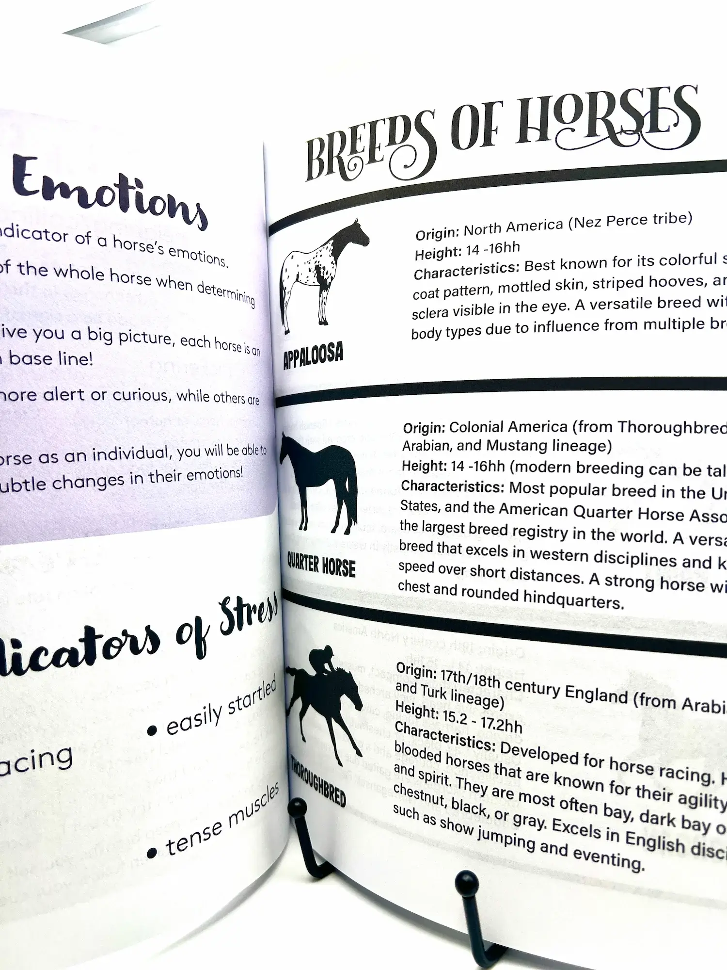 Circus Unicorn Shop - Wholesale Book - Kids - Horse Workbook Vol. II15