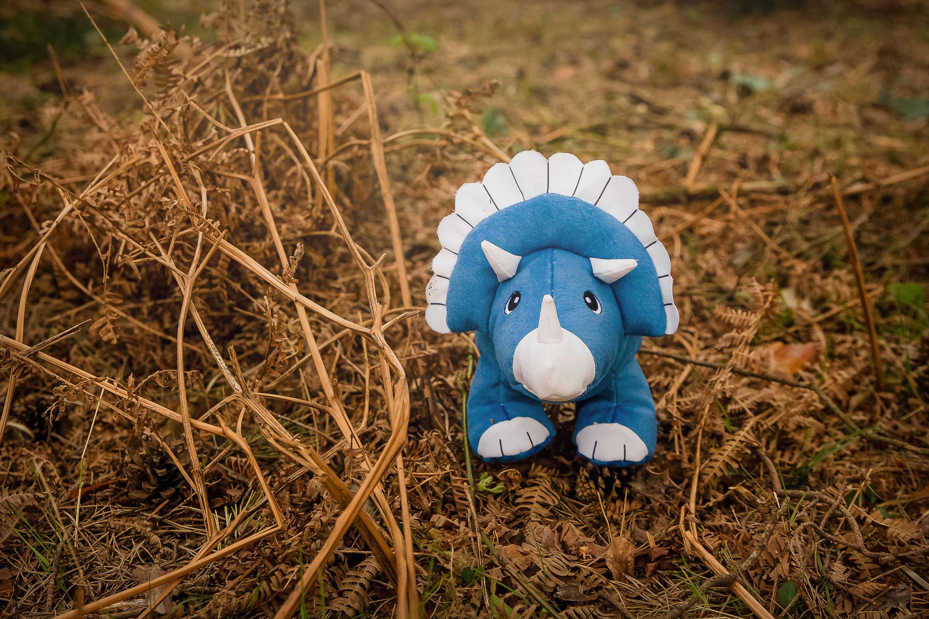 Sustainapaws - Vente Peluche – chien - Jouet en peluche écologique en plastique recyclé à double couche de dinosaure6