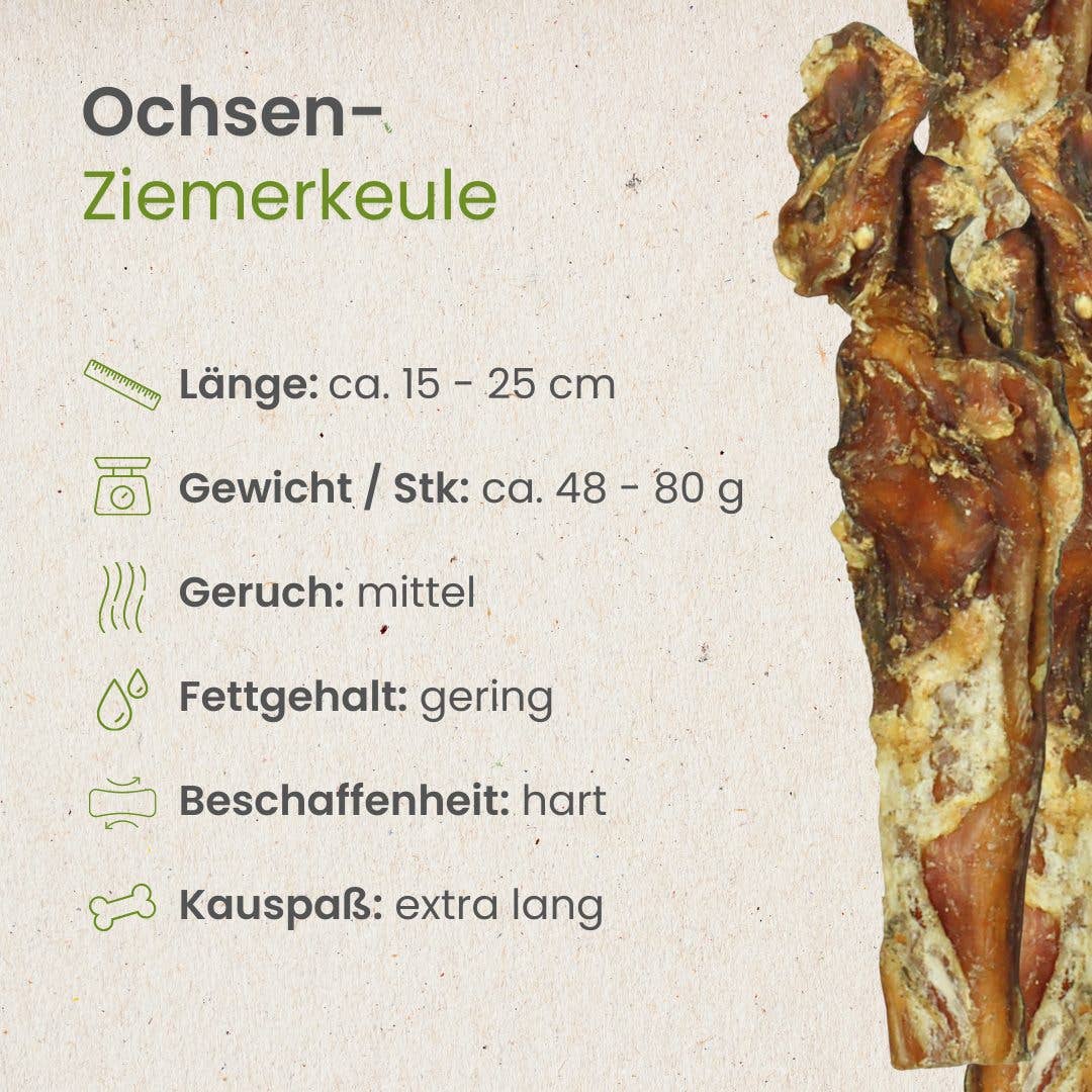 Kauartikel.com GmbH - Wholesale Pet Bone/Rawhide - Dog - ox-brick-leg2