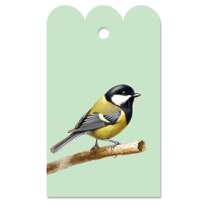 Just Friends Great Tit Gift Tag green for wholesale by 30x40