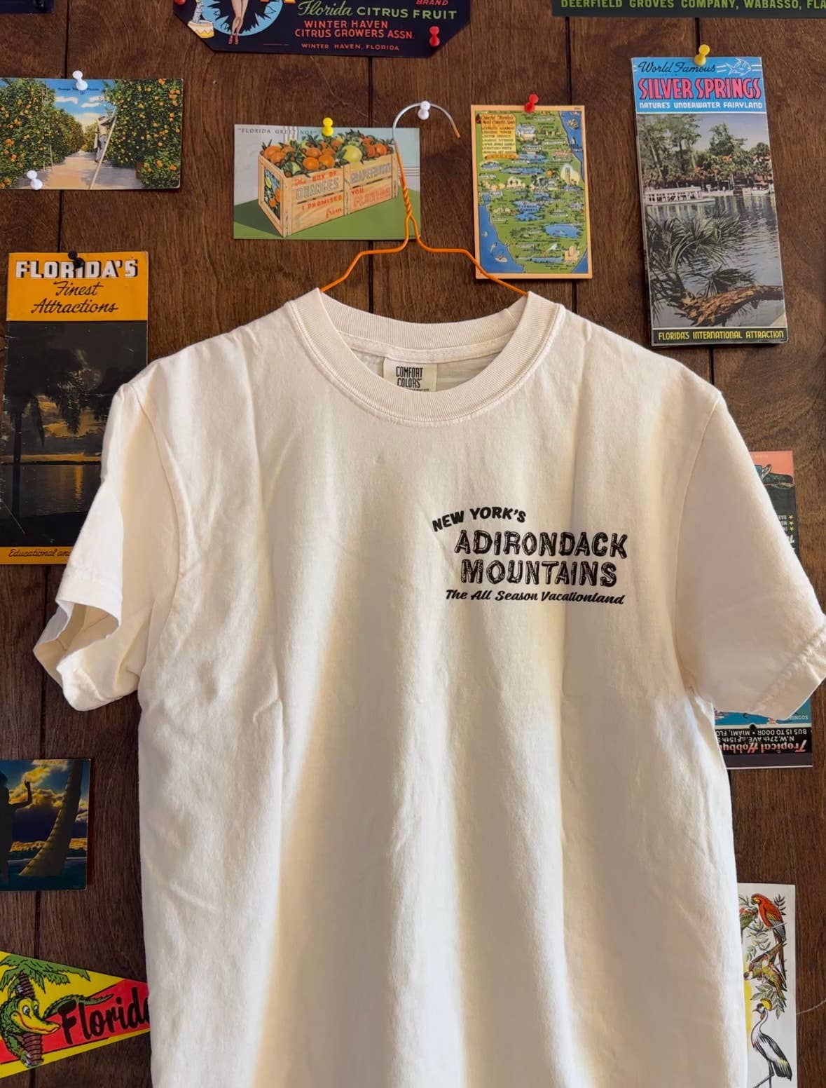 5801 Print House - Wholesale Screen Printed T-Shirt - Unisex - Adirondack Mountains T-Shirt1