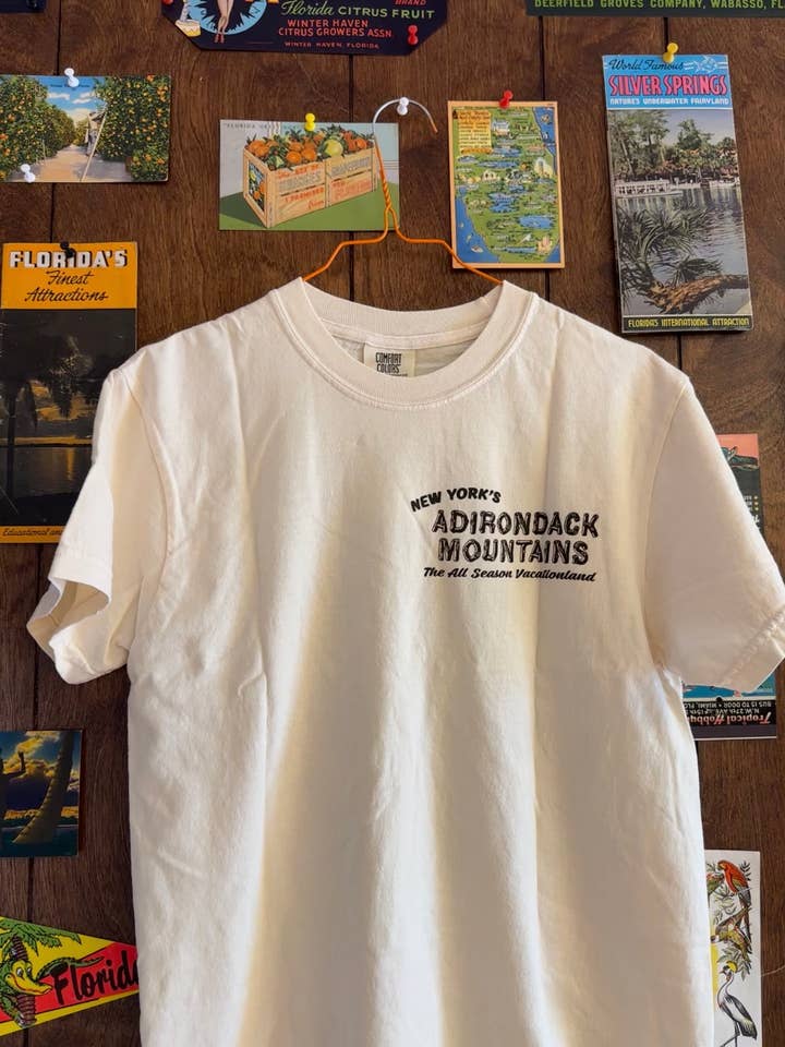5801 Print House - Wholesale Screen Printed T-Shirt - Unisex - Adirondack Mountains T-Shirt1