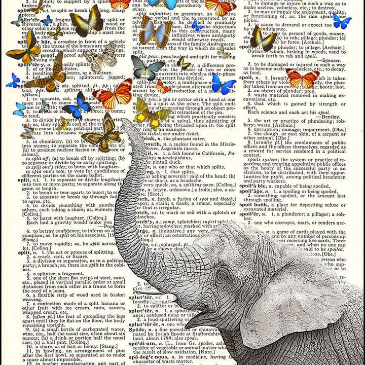 Lucky Elephant and Butterflies Dictionary Print for wholesale by Fresh Prints of CT