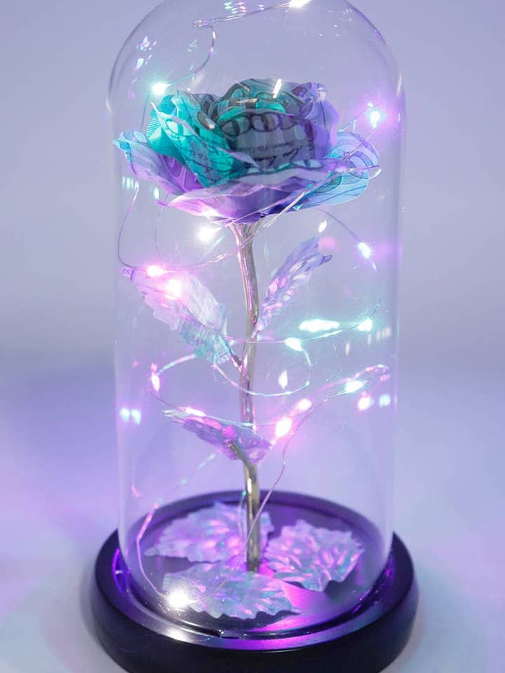 Money Rose Glass Dome Led Light Stand for wholesale by Cap Zone