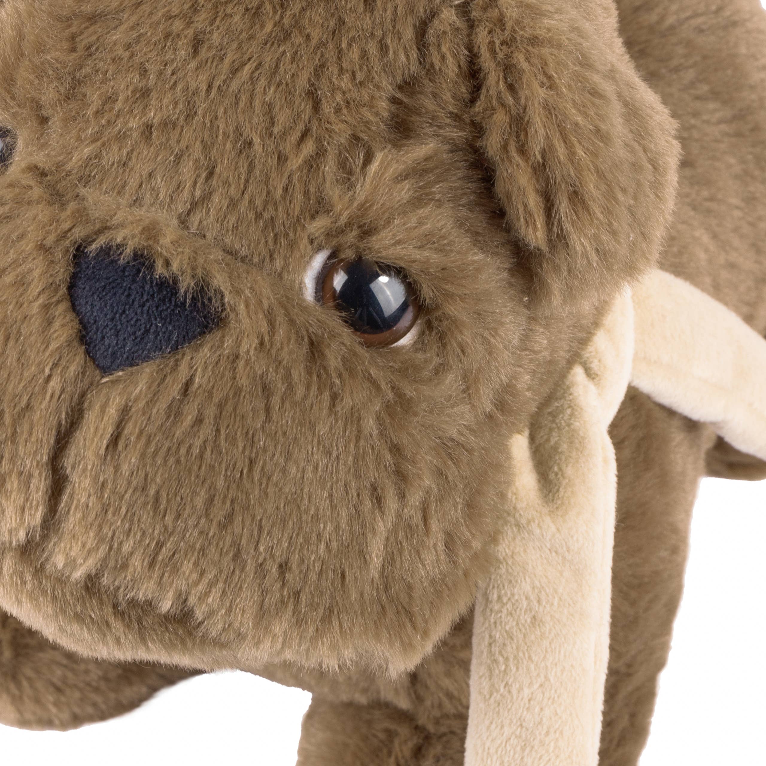 Castanho Buddy Bulldog Porta Porta Castanho para venda a revendedores na Faire4